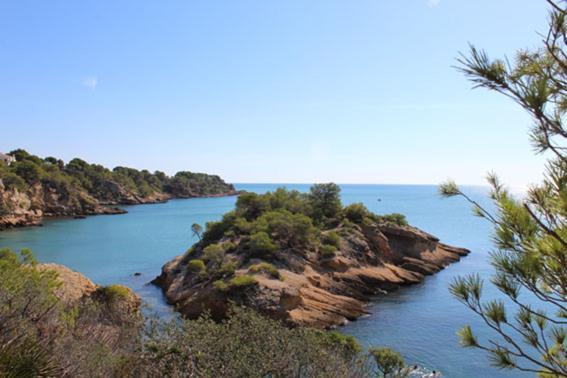 Ferienwohnung Casita De Pescadores Con Vista Al Puerto L'Ametlla de Mar Exterior foto