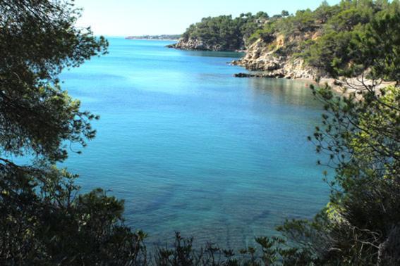 Ferienwohnung Casita De Pescadores Con Vista Al Puerto L'Ametlla de Mar Exterior foto